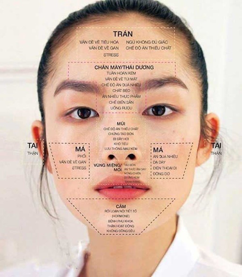 Face mapping